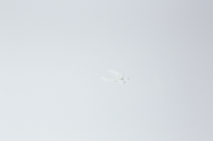 Show details for Hand Towel Dispenser Key Replacement 