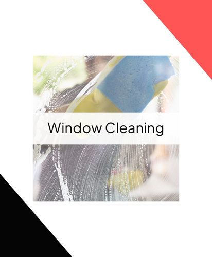Picture for category Window Cleaning