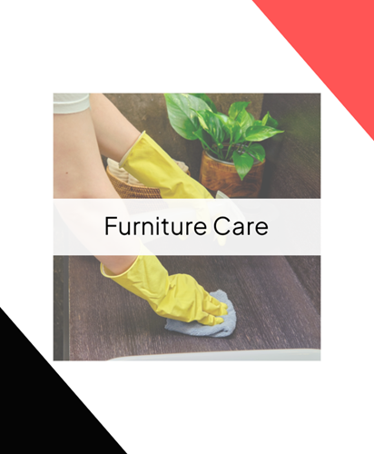 Picture for category Furniture Care